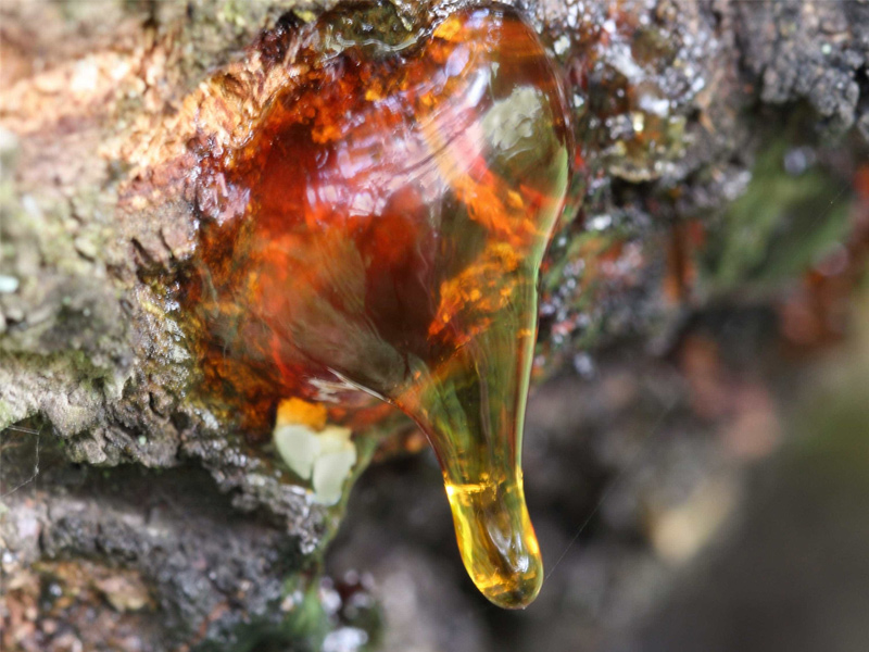 提高再生膠制品粘著性提高橡膠制品綜合性能延長(zhǎng)使用壽命 